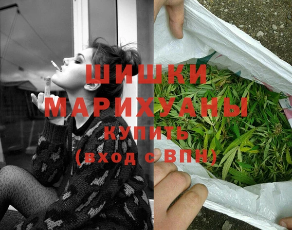 гашик Аркадак