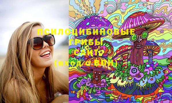 гашик Аркадак