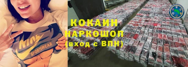 гашик Аркадак