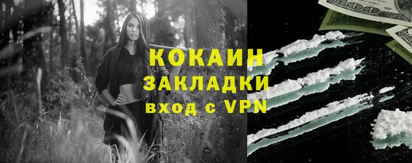 гашик Аркадак