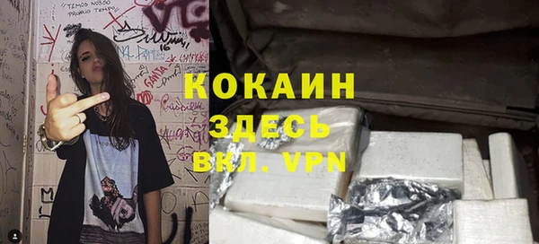 спайс Арсеньев