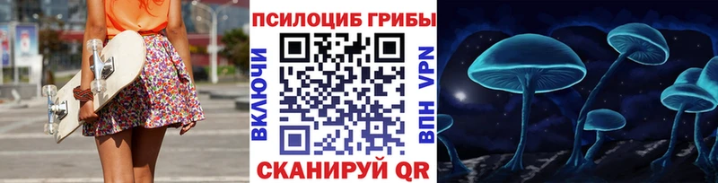 Псилоцибиновые грибы мухоморы  Сегежа 